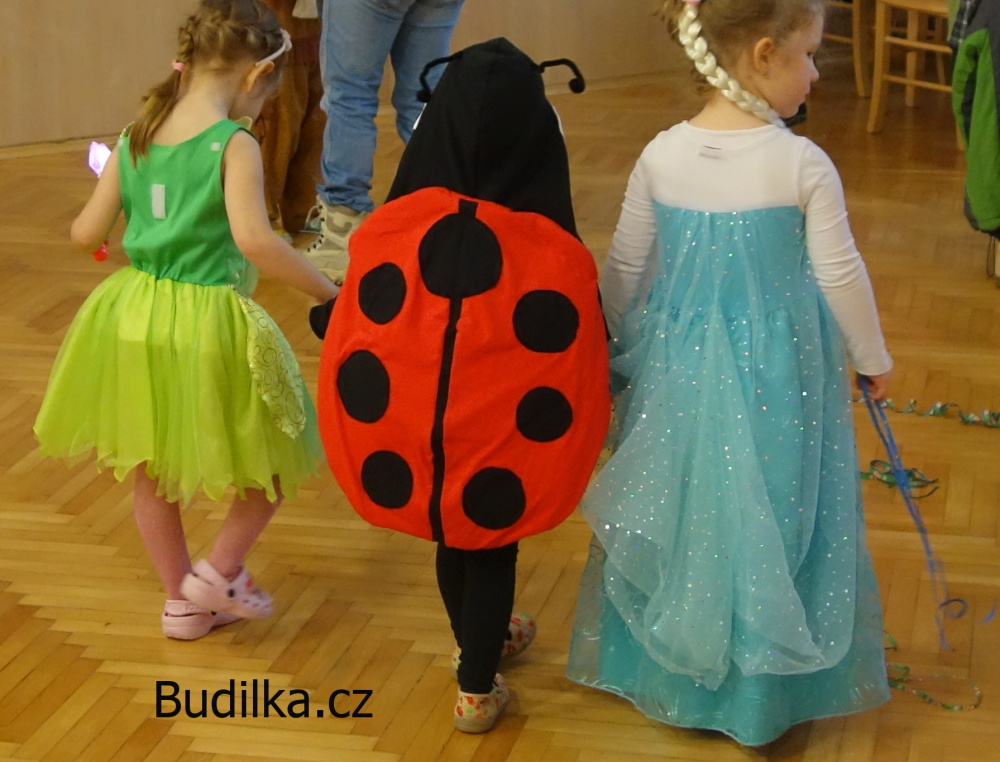 kostým berušky na dětský karneval, ladybug costume - Budilka.cz