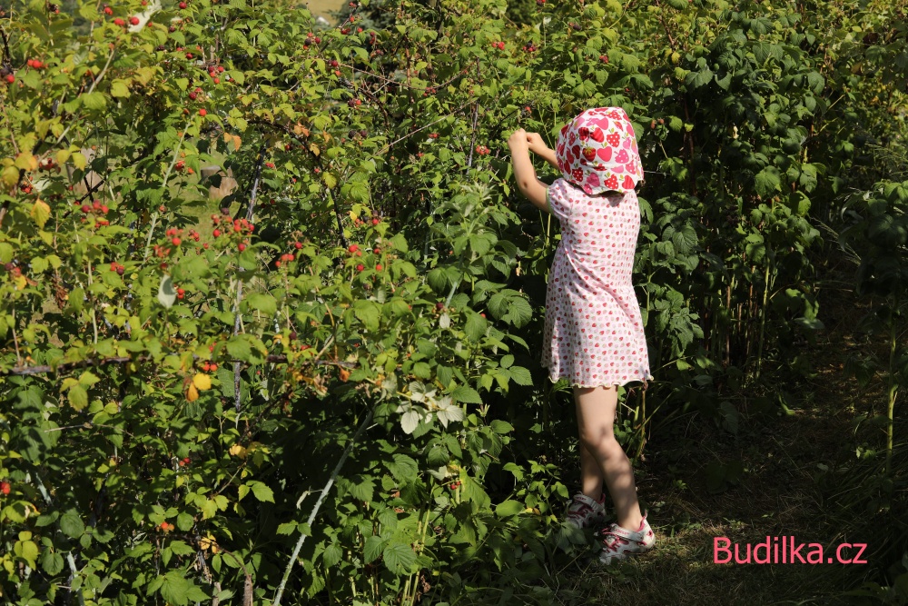Ottobre 4/2012 šatičky - dress „Autumn Bouquet - Budilka.cz